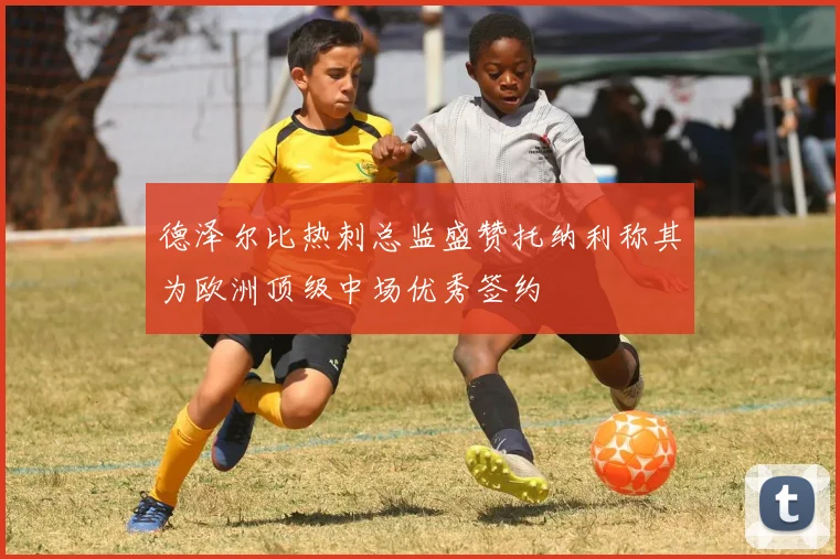 德泽尔比热刺总监盛赞托纳利称其为欧洲顶级中场优秀签约